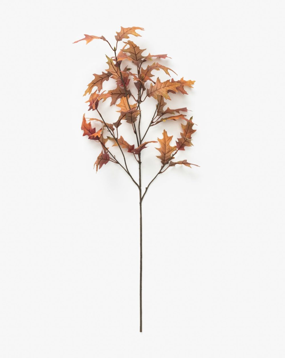 Faux Autumn Oak Stem Dried Florals & Stems