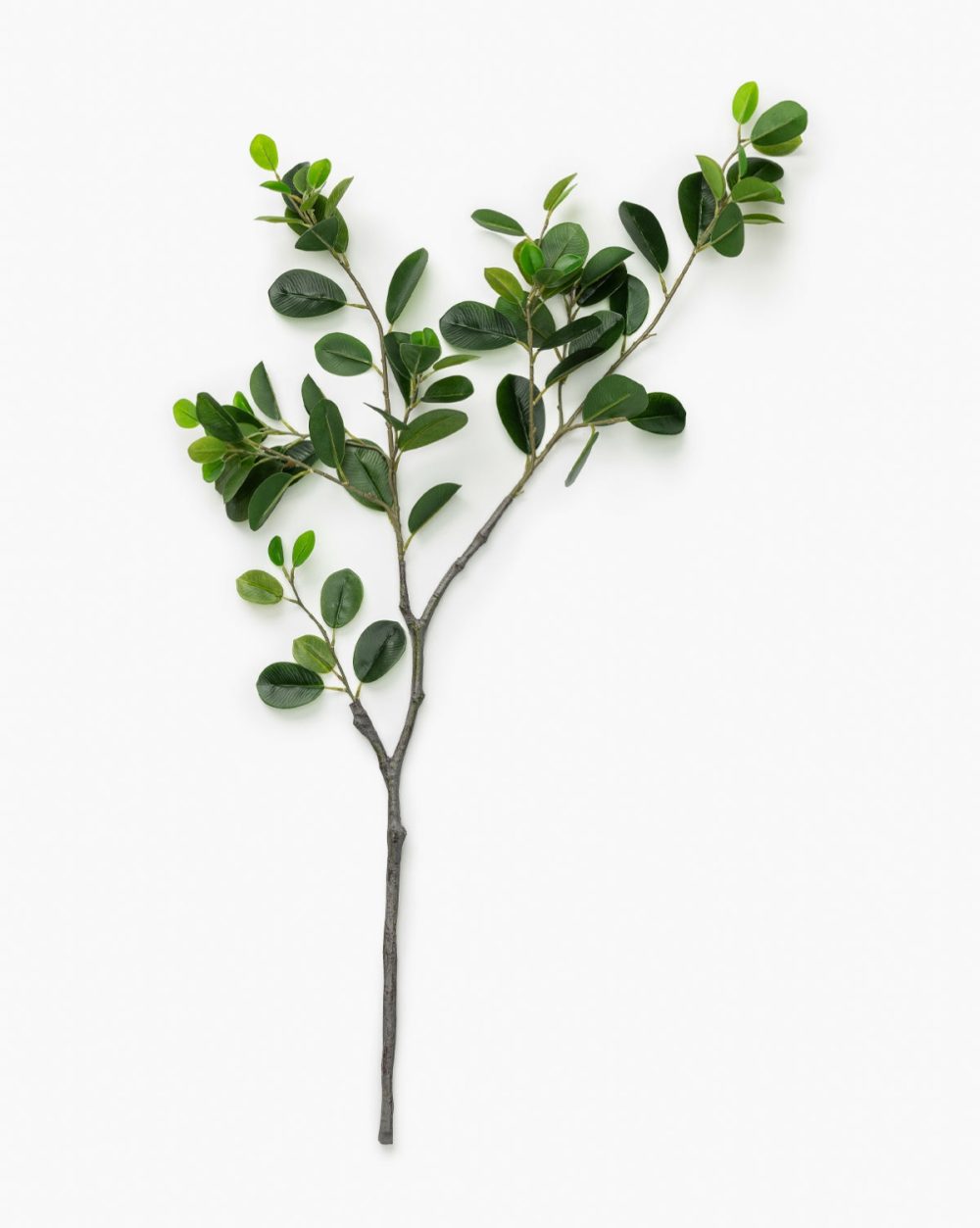 Faux Italian Ficus Branch Dried Florals & Stems