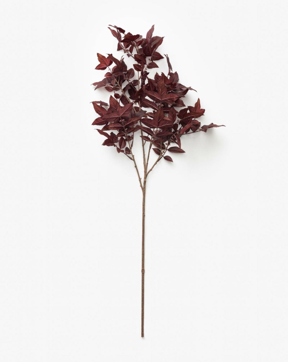 Faux Maple Leaf Stem Dried Florals & Stems