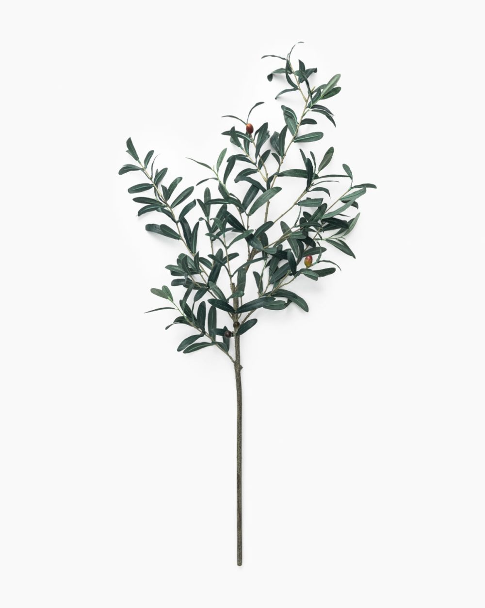 Faux Olive Branch Dried Florals & Stems