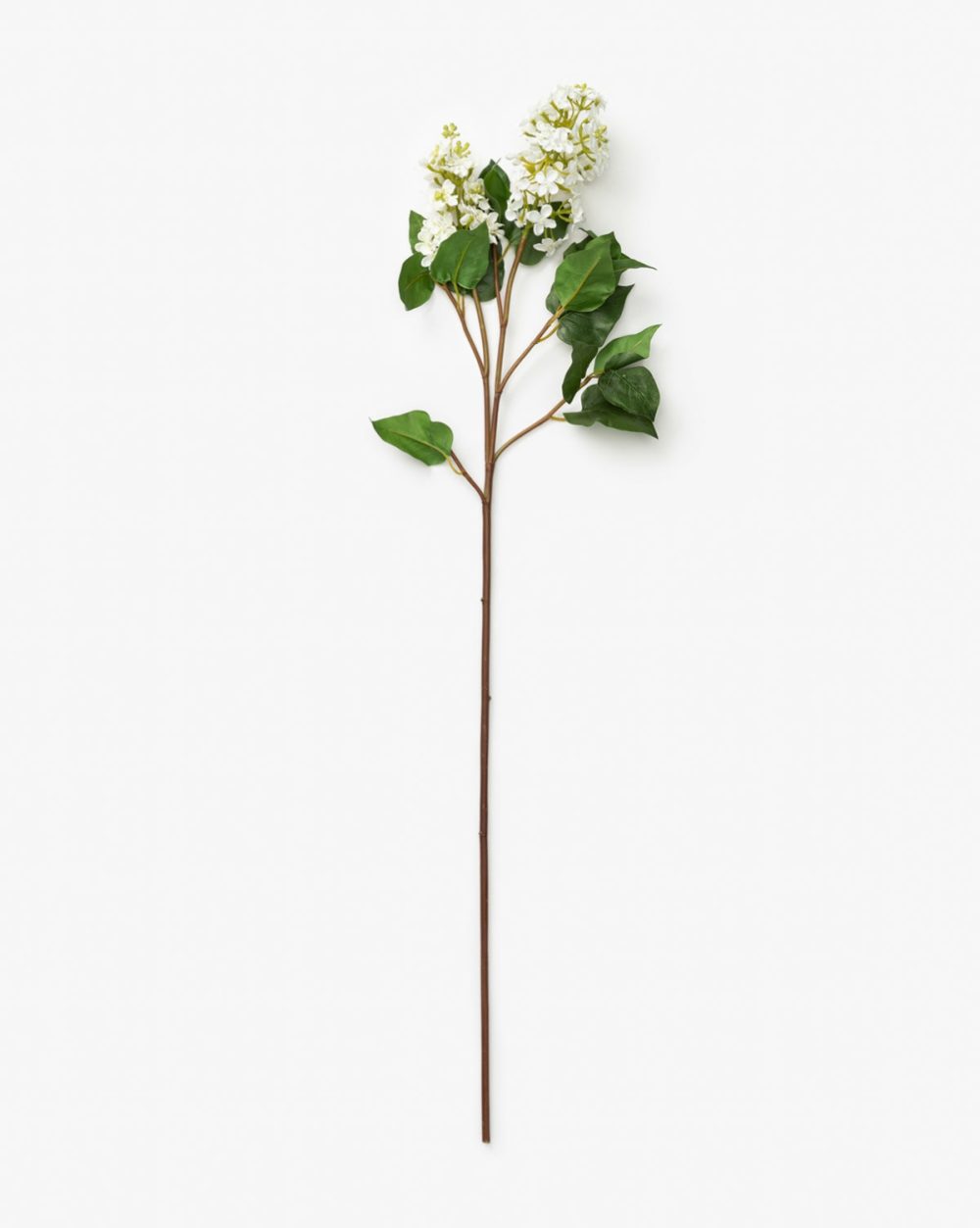 Faux White Lilac Stem Dried Florals & Stems