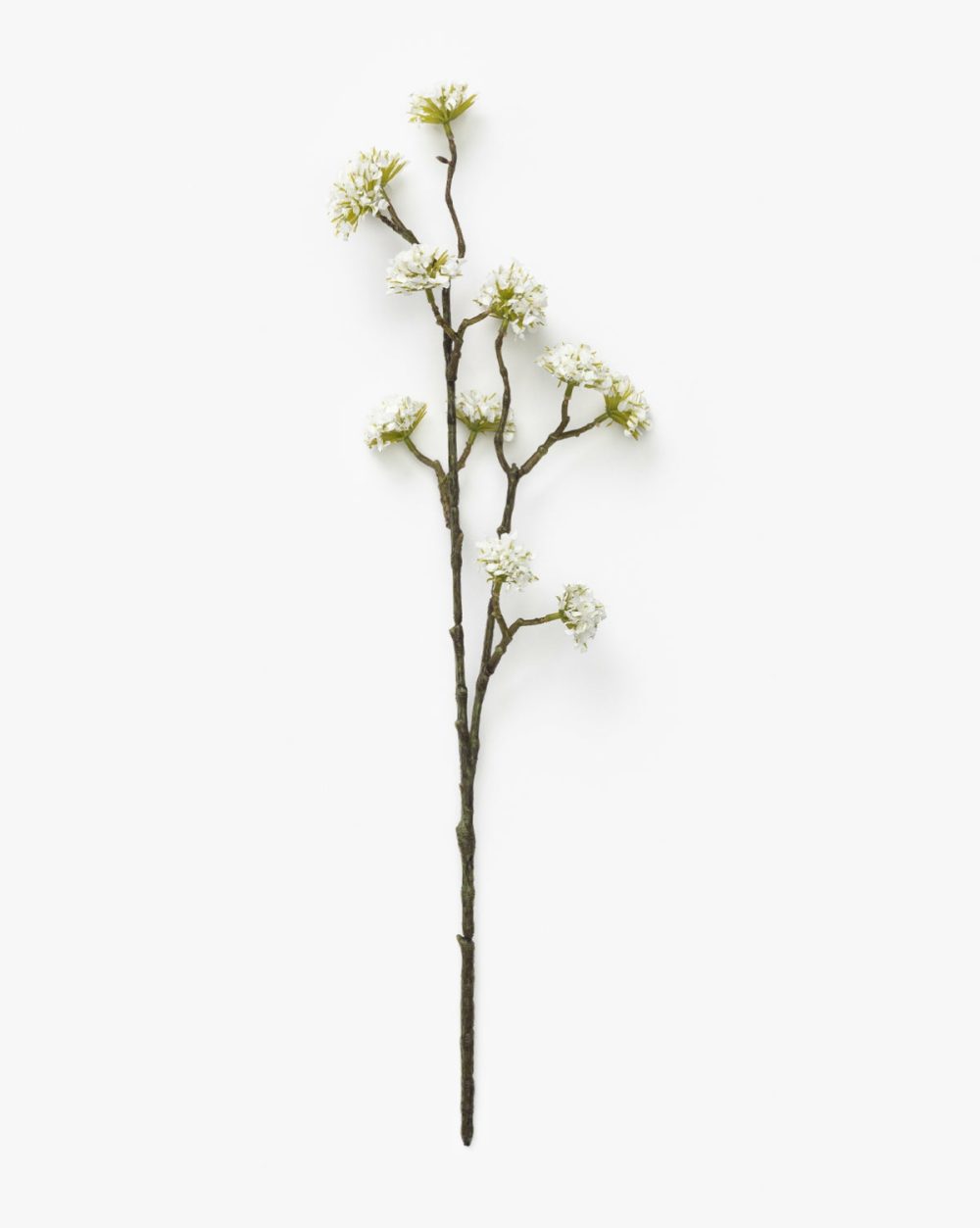 White Blossom Stem Dried Florals & Stems